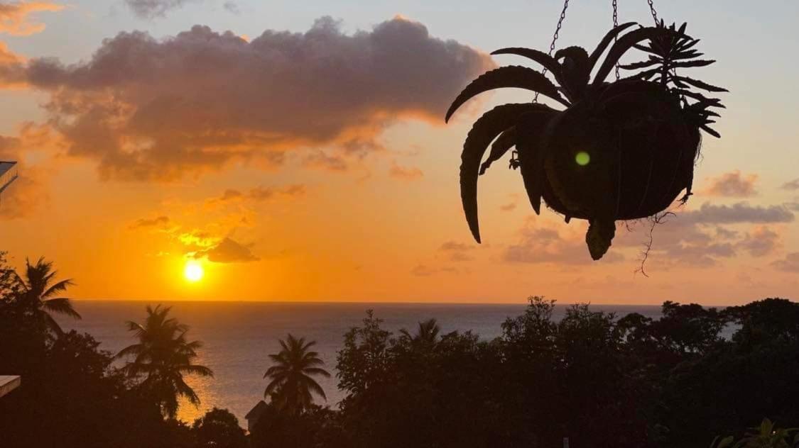 Mabrika Resort Dominica Guillet Extérieur photo
