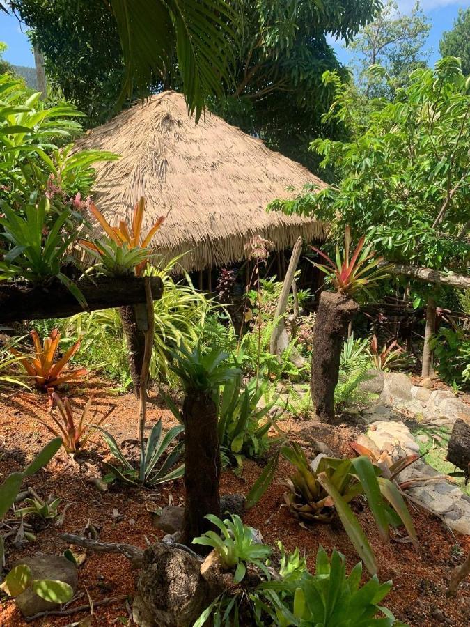 Mabrika Resort Dominica Guillet Extérieur photo