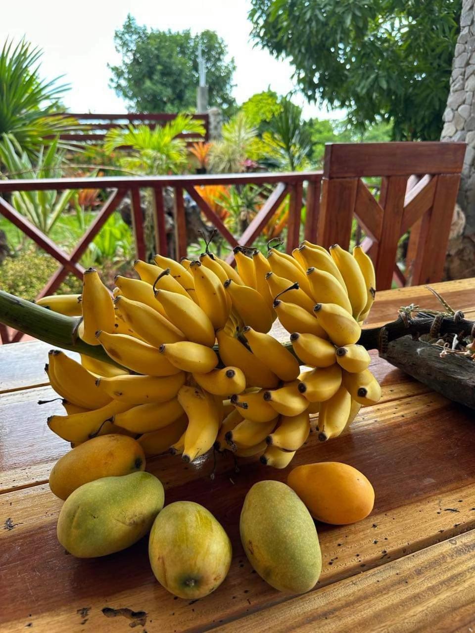 Mabrika Resort Dominica Guillet Extérieur photo