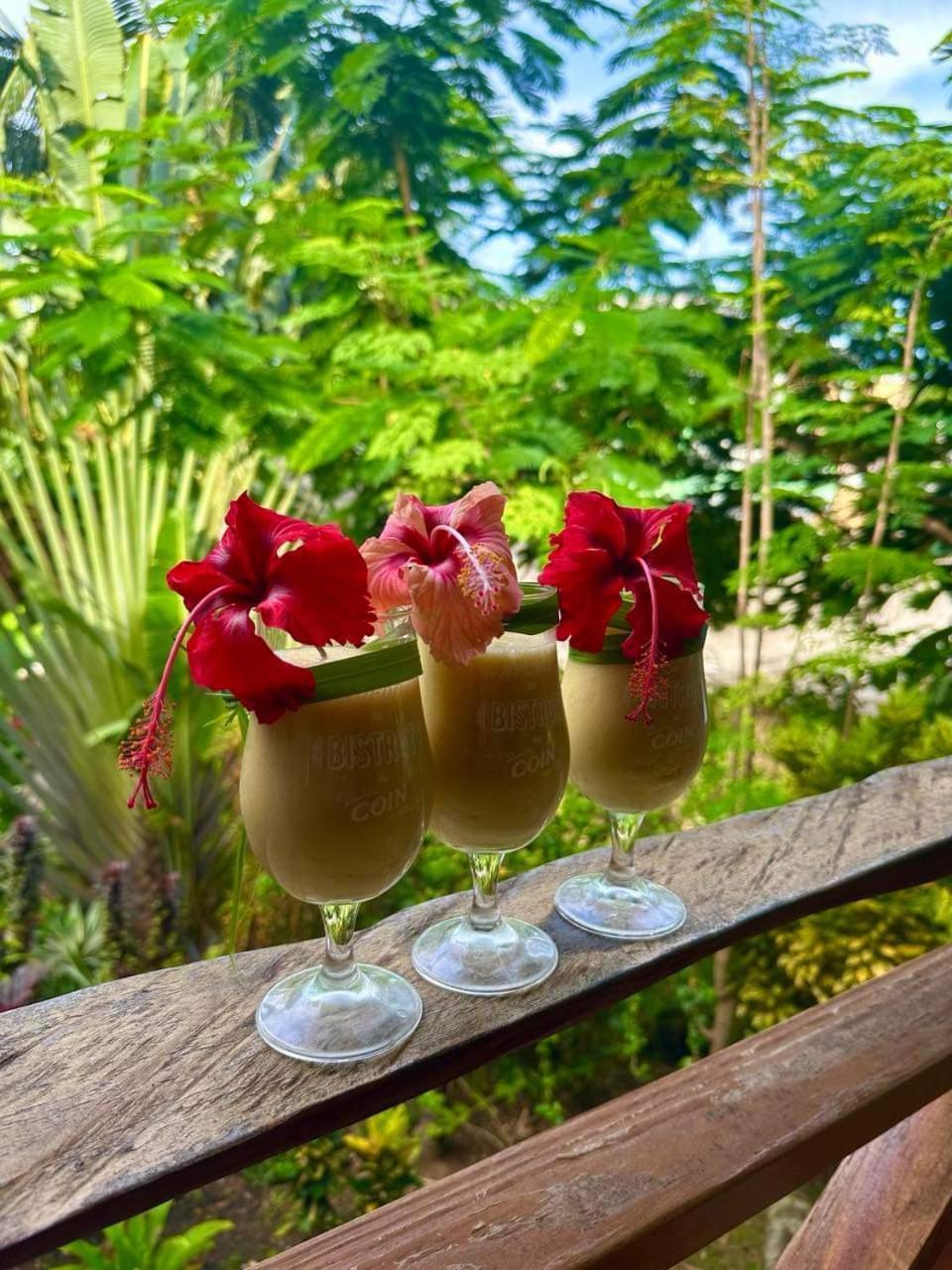 Mabrika Resort Dominica Guillet Extérieur photo